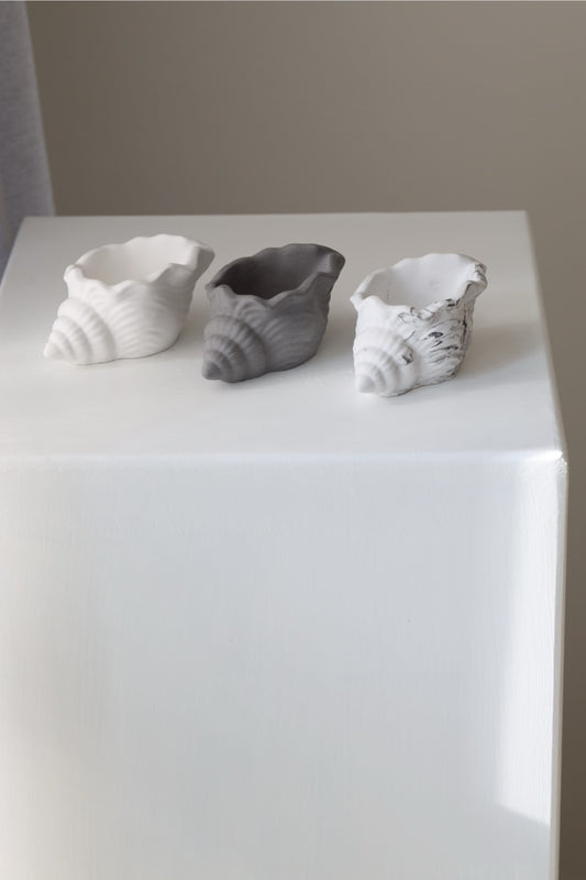 Schale „Shelly“ – handgegossen aus Raysin, in Muschelform