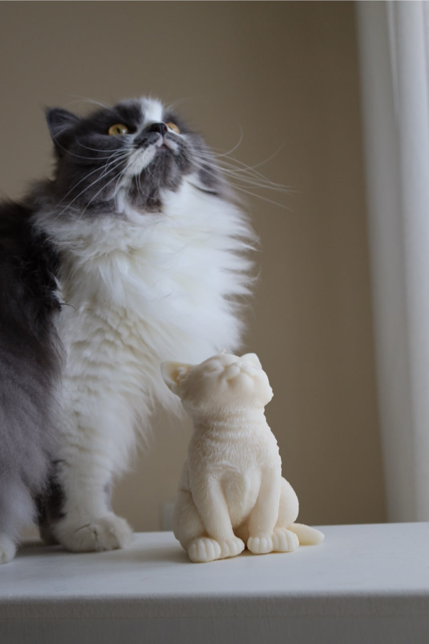 Kerze „Katze“ – handgegossen aus Rapswachs, verspielt & stilvoll