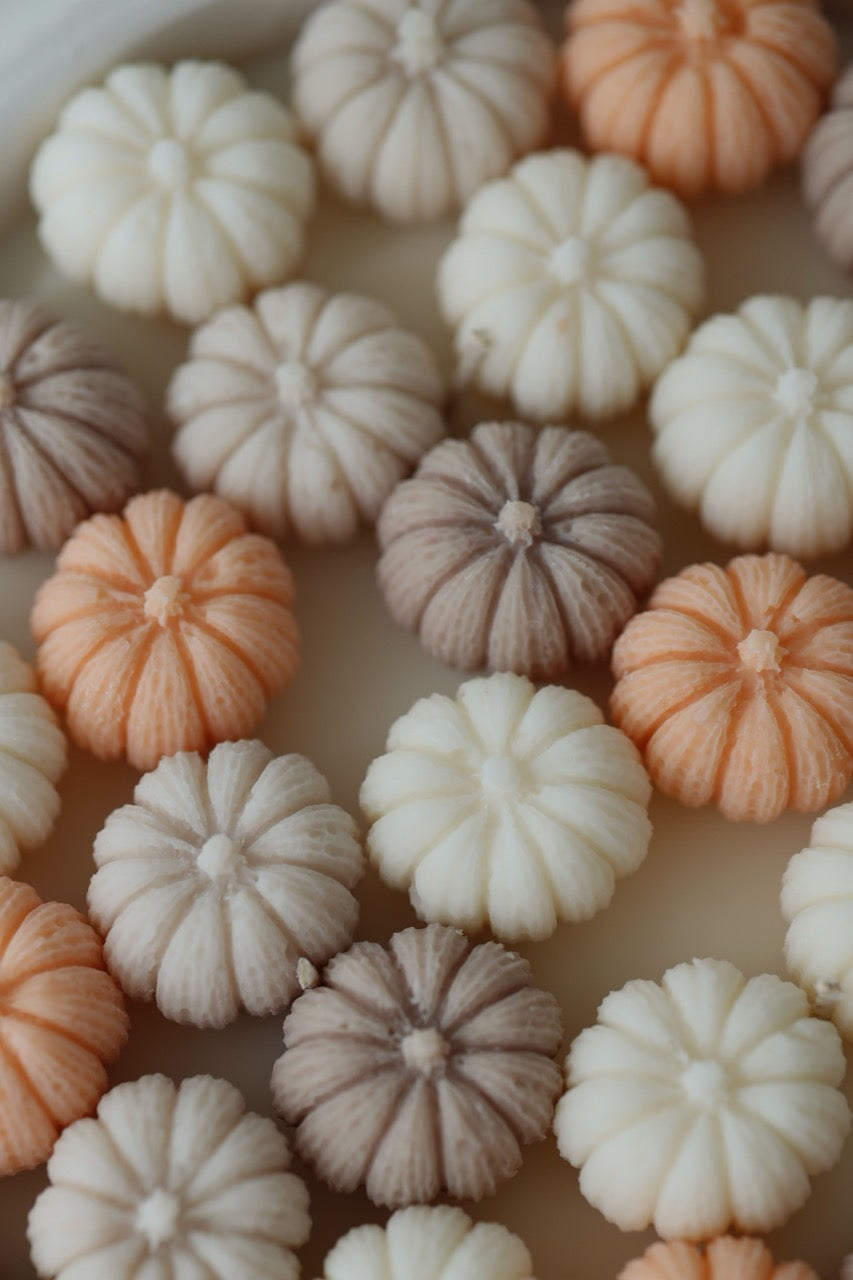 Duftschale "pumpkin spice" handgegossene Schale mit Duftwachs